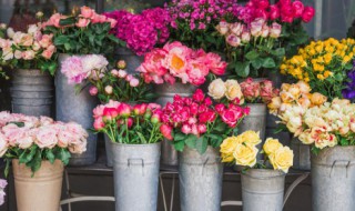 花束怎么能在水里养的时间更长? 花束怎么能在水里养的时间更长一些