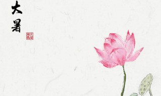 大暑时辰的具体时间（大暑时辰的具体时间是什么）