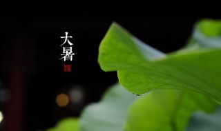 大暑是最热的一天吗（大暑是一年当中最热的时候吗）