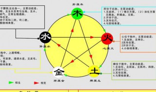 为什么五行是金木水火土（为什么五行金木水火土师傅们算的多少不一样）