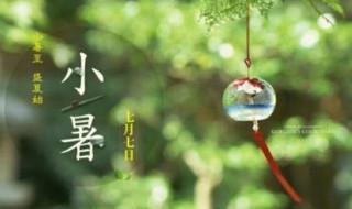 小暑出生的人好吗?（小暑出生的人好吗）