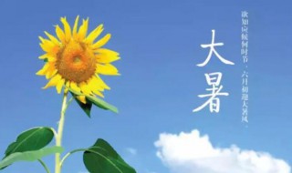 处暑和大暑哪个更热（处暑热还是大暑热）