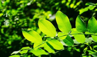 小暑节气的气候特点（小暑的季节特点）