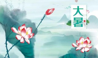 2021年大暑是什么时间（2021年大暑是几月几号几时）