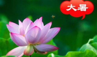 2021年大暑农历什么时候 2021年大暑农历什么时候结束