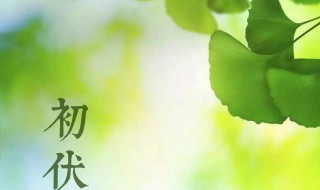 初伏有什么讲究 初伏有什么忌讳