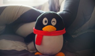 qq怎么解绑手机号 新注册的qq怎么解绑手机号