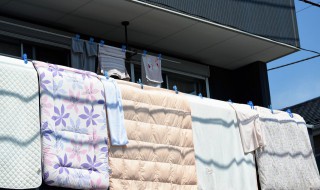 长期不用的棉被怎么存放 长期不用的棉被怎么存放不会发霉