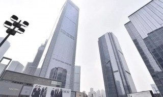 ifs是什么意思 长沙ifs是什么意思