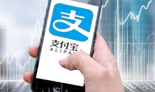 苹果手机怎么设置字体（苹果手机怎么设置字体主题）