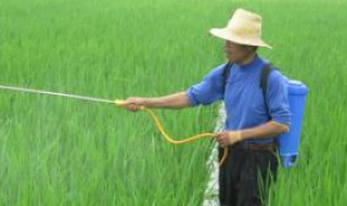 野老除草剂使用方法?（野老除草剂使用方法）