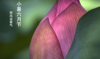 小暑节气的传说（小暑节气的传说20字）