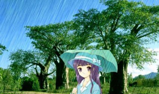 小暑下雨好还是不下雨好 小暑下雨好吗