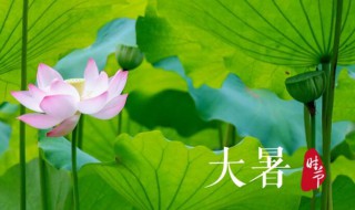 2021年大暑几日几时几分（2021年大暑是几月几日几点几分）