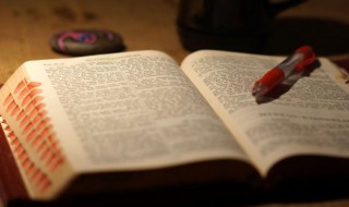 早晨出生的女孩起什么名字好（早晨出生的女孩起什么名字好听）