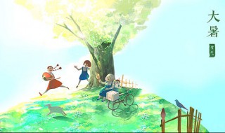 大暑的谚语有哪些 有关大暑的谚语诗词