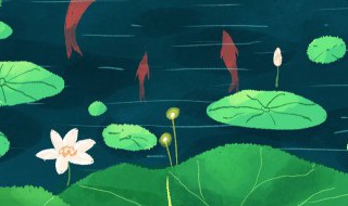 大暑习俗你知多少?（大暑的风俗有什么）