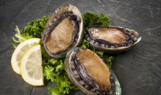 鲍鱼是寒性的还是温热（鲍鱼是寒性的还是温热的食物）