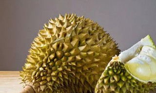 榴莲性热还是性寒（榴莲性凉还是性温）