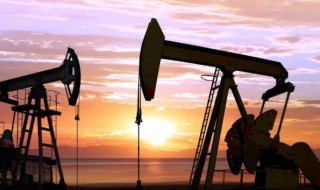 新石油是什么（是新的石油）