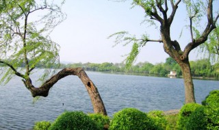 西湖周长多少公里（西湖一周多少公里）