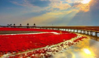 国家的实质是（国家的实质是阶级矛盾不可调和的产物）