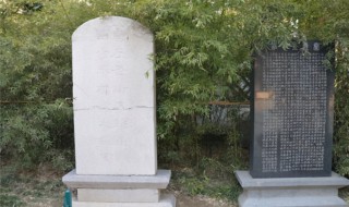 秦琼墓在哪里（秦琼墓被盗了吗）