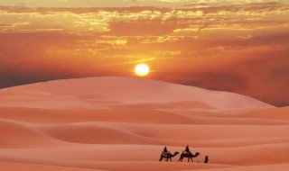 宁夏是省还是市（宁夏是省还是市?宁夏是属于哪个省?）