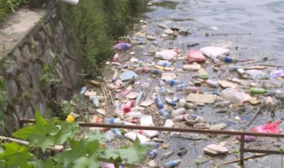 水体污染的四个危害 水体污染的四个危害是什么