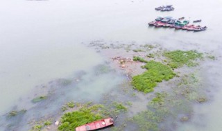 鄱阳湖面积多少平方千米 鄱阳湖面积约多少平方千米