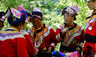 羌族的起源和来历（羌族的起源和来历简介）