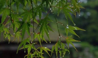 苏州梅雨季节是几月份（苏州梅雨季节是几月份有几天）