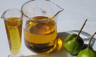 桐油的用途（洪江桐油的用途）