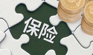 四项基本险包括什么（四项基本险包括什么险种）