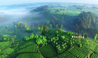 四川气候特点 四川气候特点与农业