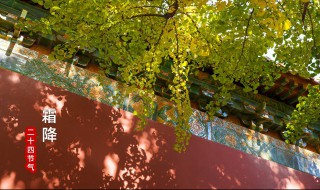 霜降节气的禁忌和讲究介绍（霜降节气宜忌）