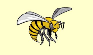 梦见马蜂是什么意思（做梦梦见马蜂是什么意思）