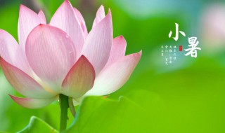 24节气小暑节气的含义是什么（24节气小暑节气的含义是什么呢）