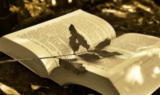 订单中的账期是指 批发订单的账期