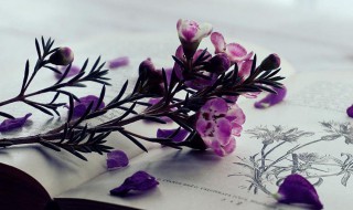 盈余公积包括的项目有 盈余公积包括的项目有多选