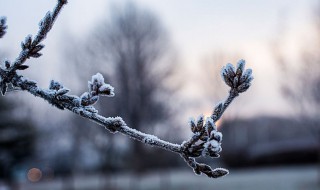 24节气霜降节气意味着什么（霜降是24节气的第几个节气）