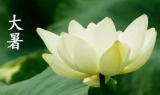 24节气大暑是什么意思（大暑是24节气吗）