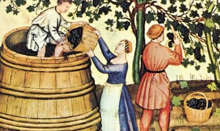 葡萄酒起源是什么（葡萄酒的发源）