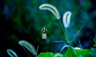 小暑节气的含义及习俗 小暑的节气含义是什么