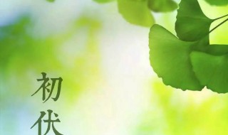 2021什么是三伏天（2021年三伏天是什么）