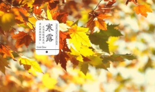 寒露节气的含义是什么以及养生技巧 寒露的节气是什么意思