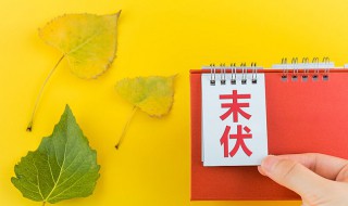 2021三伏天是什么意思（2021年的3伏天是什么时候）