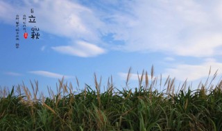 24节气立秋节气的含义是什么（立秋是24节气中的几个）