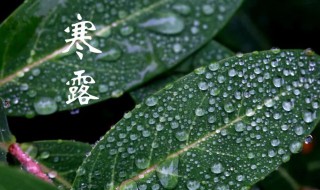 寒露有什么吉祥寓意以及含义是什么（寒露有什么象征意义）