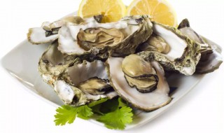 生蚝如何清洗内脏 生蚝如何清洗内脏视频教程